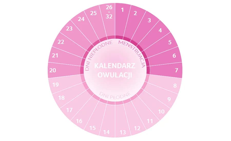 Czy mężczyźni wyczuwają dni płodne? Zaskakujące fakty o owulacji